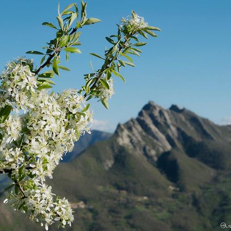 B&B La Bella Vista Albano di Lucania Екстер'єр фото